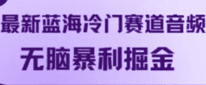 最新蓝海冷门赛道音频,无脑暴利掘金-优优云创网