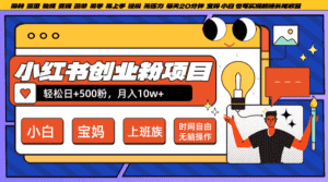 小红书创业粉日+500,月入10W+,无脑操作,每天20分钟-优优云创网