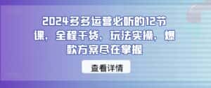2024多多运营必听的12节课，全程干货，玩法实操，爆款方案尽在掌握-优优云创网