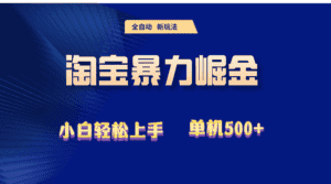 （12700期）2024淘宝暴力掘金  单机500+-优优云创网