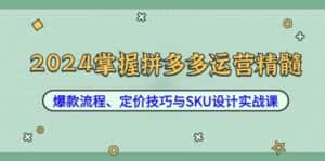 2024掌握拼多多运营精髓:爆款流程、定价技巧与SKU设计实战课-优优云创网