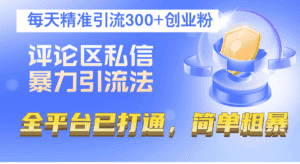 （12714期）评论区私信暴力引流法，每天精准引流300+创业粉，全平台已打通，简单粗暴-优优云创网
