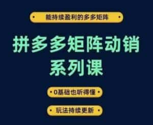 拼多多矩阵动销系列课,能持续盈利的多多矩阵,0基础也听得懂,玩法持续更新-优优云创网