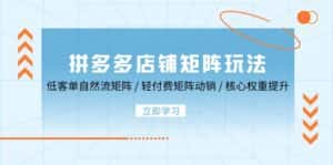 (12720期)拼多多店铺矩阵玩法:低客单自然流矩阵 / 轻付费矩阵 动销 / 核心权重提升-优优云创网