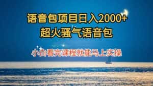 (12734期)语音包项目 日入2000+ 超火骚气语音包小白看完课程就能马上实操-优优云创网