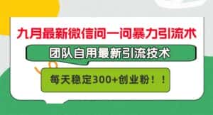 (12735期)九月最新微信问一问暴力引流术,团队自用引流术,每天稳定300+创…-优优云创网