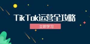 (12739期)TikTok实战运营全攻略:从下载软件到变现,抖音海外版实操教程-优优云创网