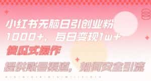 小红书无脑每日引流创业粉500+，小白每天只花半小时，躺赚长尾收益-优优云创网
