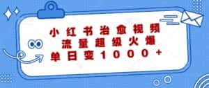 小红书治愈视频，流量超级火爆，单日变现1000+-优优云创网