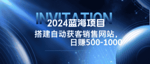 （12743期）2024蓝海项目，搭建销售网站，自动获客，日赚500-1000-优优云创网