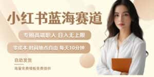 小红书蓝海赛道,圈中高端职场人,月入无上限,可矩阵,内含私域实操教程!-优优云创网