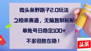 (12763期)微头条野路子2.0玩法之相亲赛道,无脑复制粘贴,单账号日稳定100+,不…-优优云创网