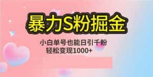 (12778期)单人单机日引千粉,变现1000+,S粉流量掘金计划攻略-优优云创网