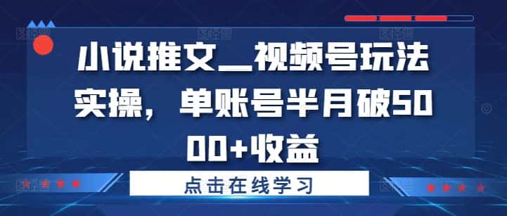 小说推文—视频号玩法实操,单账号半月破5000+收益-优优云创网