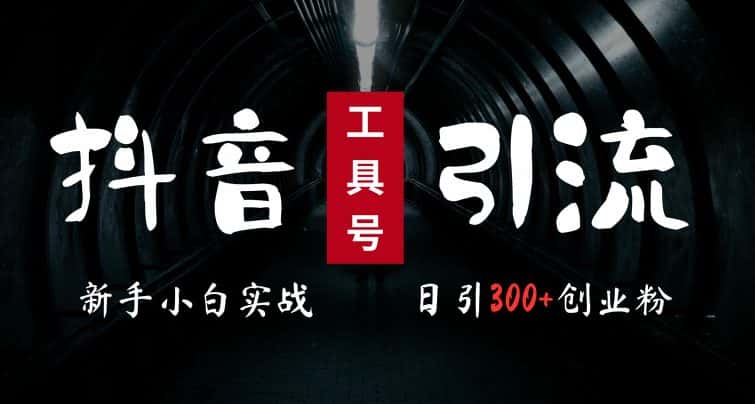 2024最新抖音工具号引流玩法，高效日引300+创业粉，当天变现5k，小白也可成为实战高手-优优云创网