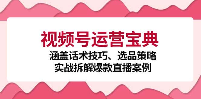 视频号运营宝典：涵盖话术技巧、选品策略、实战拆解爆款直播案例-优优云创网