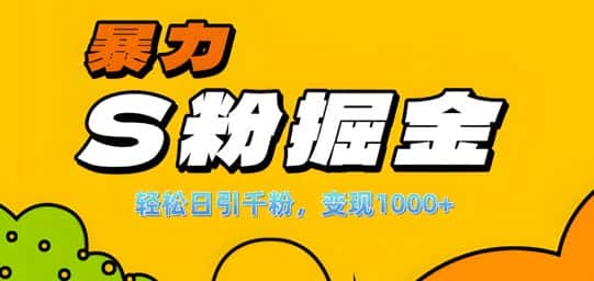 单人单机日引千粉,变现1k+,S粉流量掘金计划攻略-优优云创网