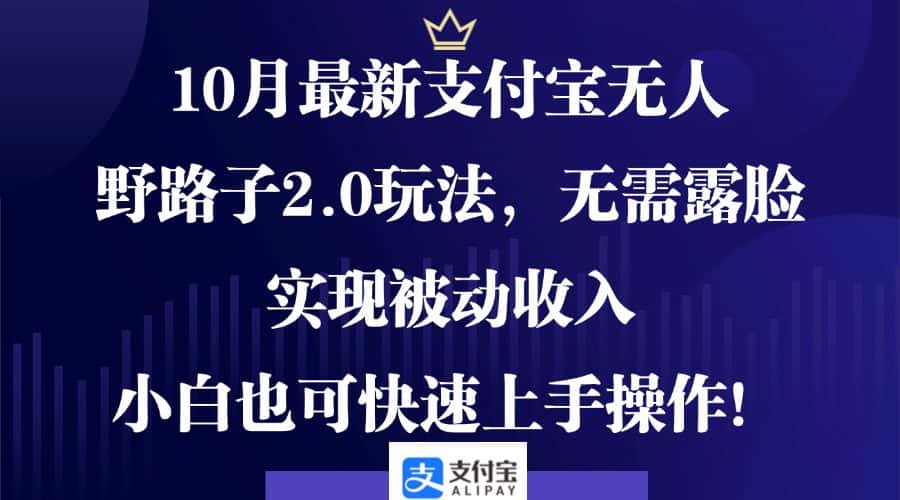 (12824期)10月最新支付宝无人野路子2.0玩法,无需露脸,实现被动收入,小白也可…-优优云创网