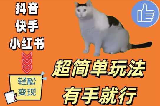 超简单玩法,有手就行,靠猫咪视频日入500+-优优云创网