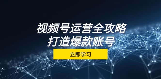 （12912期）视频号运营全攻略，从定位到成交一站式学习，视频号核心秘诀，打造爆款…-优优云创网