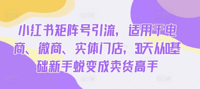 小红书矩阵号引流，适用于电商、微商、实体门店，30天从0基础新手蜕变成卖货高手-优优云创网