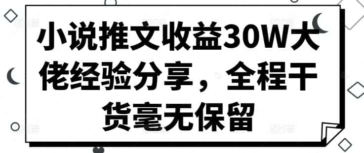 小说推文收益30W大佬经验分享，全程干货毫无保留-优优云创网