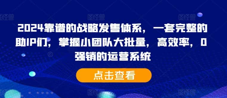 2024靠谱的战略发售体系,一套完整的助IP们,掌握小团队大批量,高效率,0 强销的运营系统-优优云创网
