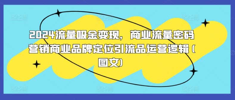 2024流量吸金变现，商业流量密码营销商业品牌定位引流品运营逻辑(图文)-优优云创网
