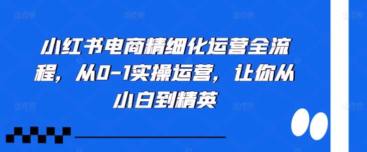 小红书电商精细化运营全流程，从0-1实操运营，让你从小白到精英-优优云创网