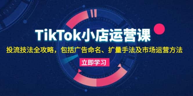 (13063期)TikTok小店运营课:投流技法全攻略,包括广告命名 扩量手法及市场运营方法-优优云创网