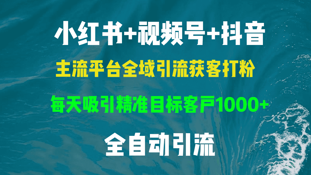(13104期)小红书,视频号,抖音主流平台全域引流获客打粉,每天吸引精准目标客户…-优优云创网