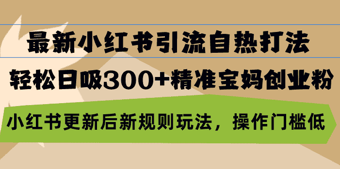 （13145期）最新小红书引流自热打法，轻松日吸300+精准宝妈创业粉，小红书更新后新…-优优云创网