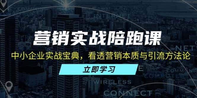 （13146期）营销实战陪跑课：中小企业实战宝典，看透营销本质与引流方法论-优优云创网