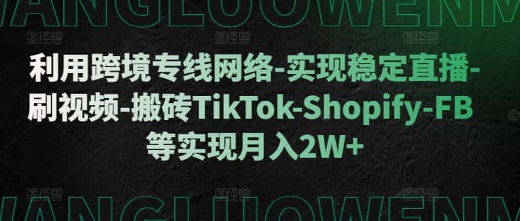 利用跨境专线网络-实现稳定直播-刷视频-搬砖TikTok-Shopify-FB等实现月入2W+-优优云创网