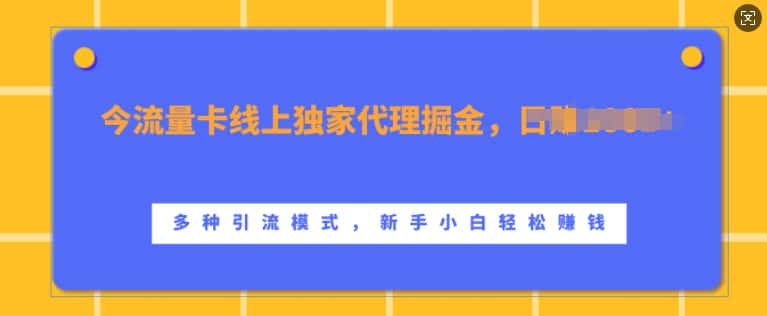 流量卡线上独家代理掘金,日入1k+ ,多种引流模式,新手小白轻松上手-优优云创网