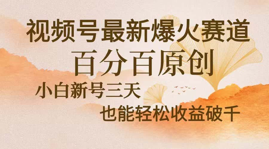 (13225期)视频号最新爆火赛道,中老年粉深信不疑,百分百原创,新号三天收益轻松…-优优云创网