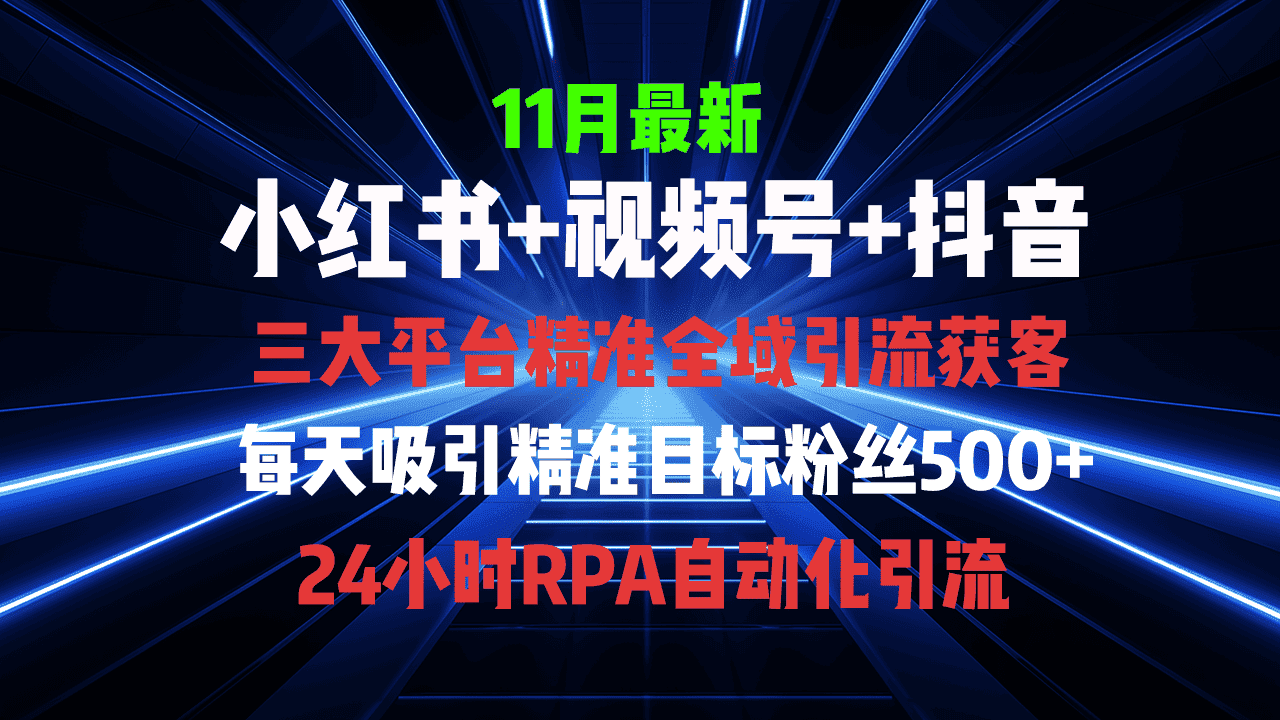 (13259期)全域多平台引流私域打法,小红书,视频号,抖音全自动获客,截流自…-优优云创网