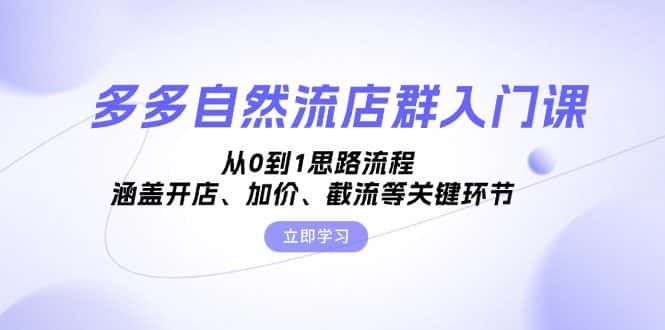 (13279期)多多自然流店群入门课,从0到1思路流程,涵盖开店、加价、截流等关键环节-优优云创网