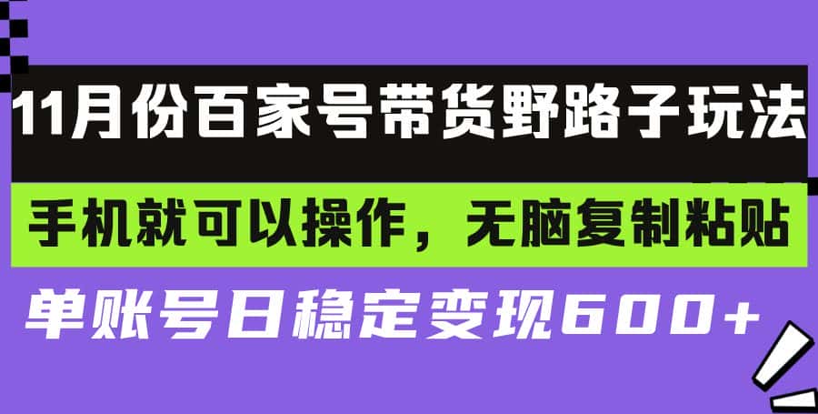 (13281期)百家号带货野路子玩法 手机就可以操作,无脑复制粘贴 单账号日稳定变现…-优优云创网
