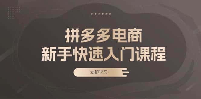 拼多多电商新手快速入门课程：涵盖基础、实战与选款，助力小白轻松上手-优优云创网
