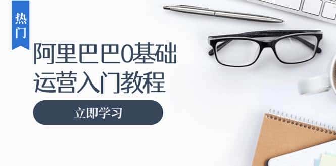 阿里巴巴运营零基础入门教程：涵盖开店、运营、推广，快速成为电商高手-优优云创网