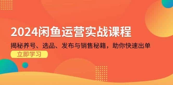 2024闲鱼运营实战课程:揭秘养号、选品、发布与销售秘籍,助你快速出单-优优云创网