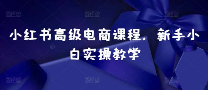 小红书高级电商课程，新手小白实操教学-优优云创网