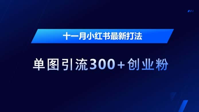十一月小红书最新打法,单图引流300+创业粉-优优云创网