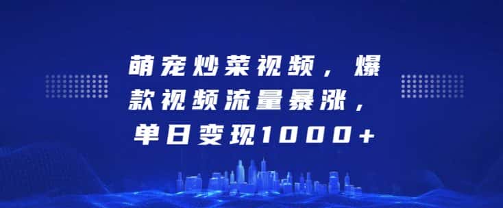 萌宠炒菜视频,爆款视频流量暴涨,单日变现1k-优优云创网