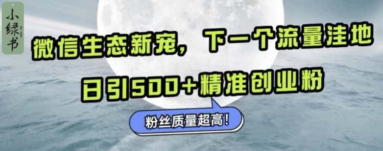 微信生态新宠小绿书：下一个流量洼地，日引500+精准创业粉，粉丝质量超高-优优云创网