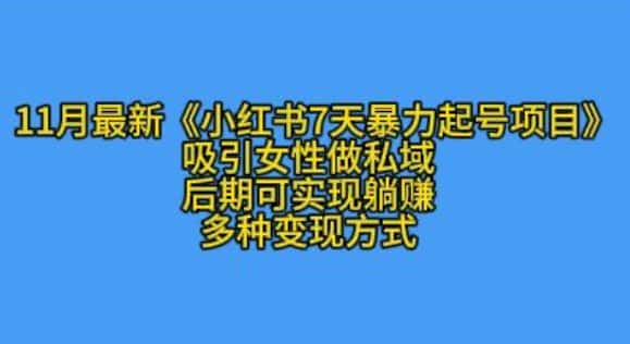 K总部落11月最新小红书7天暴力起号项目,吸引女性做私域-优优云创网