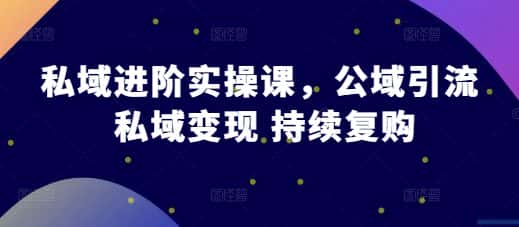 私域进阶实操课,公域引流 私域变现 持续复购-优优云创网