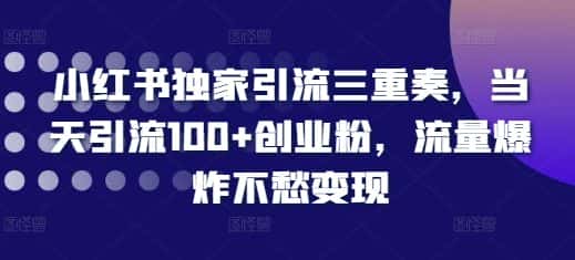 小红书独家引流三重奏，当天引流100+创业粉，流量爆炸不愁变现-优优云创网