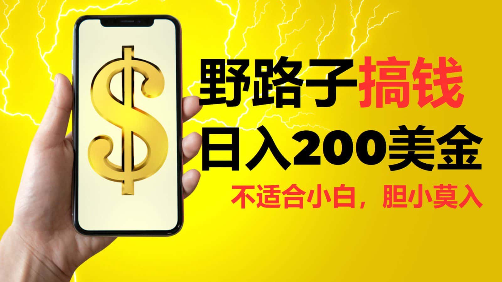 挂机野路子搞钱,日入200美金,路子很野,小白莫入-优优云创网